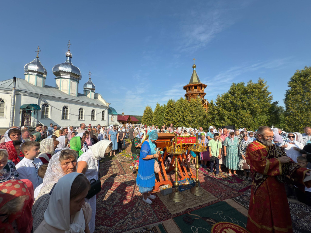 IMG_8800
